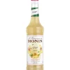 Monin Konzentrat Ginger 0.7 l