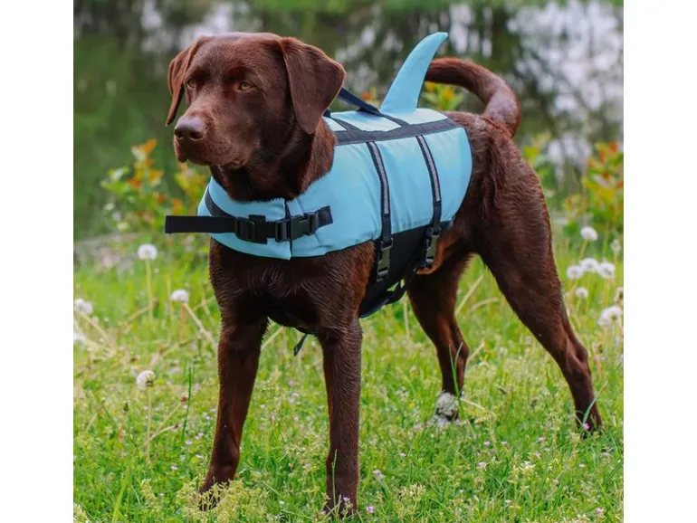 Nobby Schwimmweste Sharki S, 30 cm, Blau
