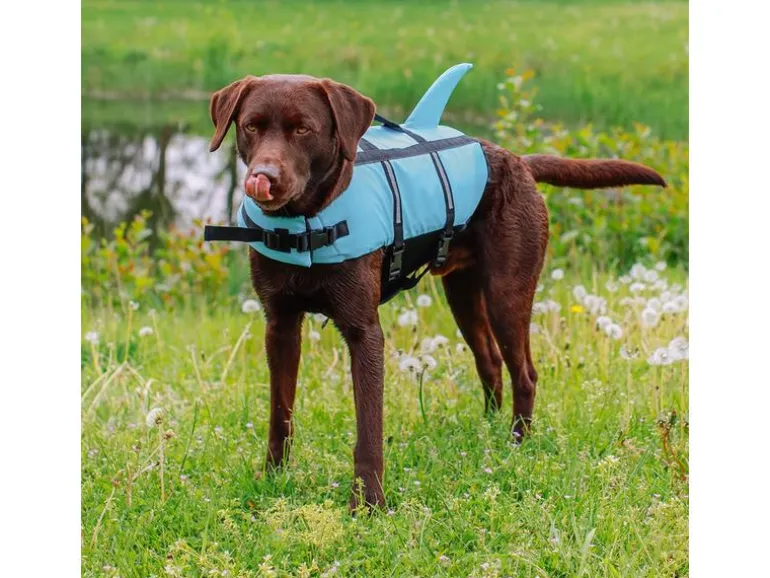 Nobby Schwimmweste Sharki S, 30 cm, Blau