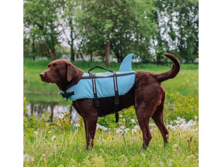 Nobby Schwimmweste Sharki S, 30 cm, Blau