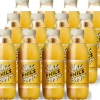 Phil's Bio Grüntee mit Schweizer Apfel und Minze 12 Stück x 0.5 l