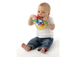 Playgro Beschäftigungsspielzeug Drehrassel mit Saugfuss