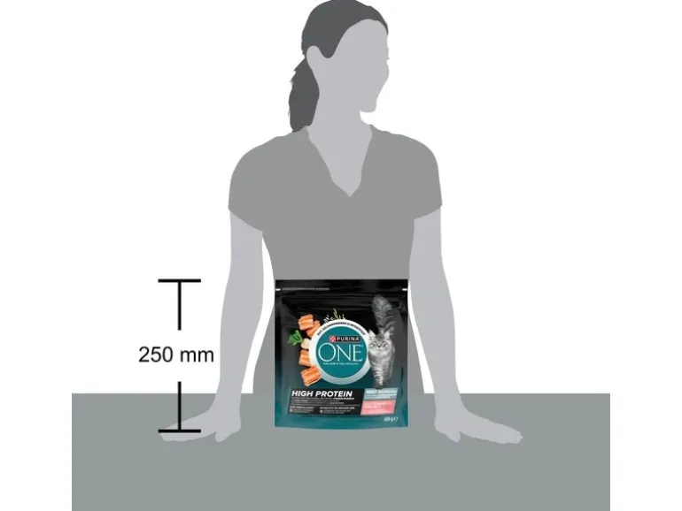 Purina ONE Dry Cat Smn High Protein, Lachs