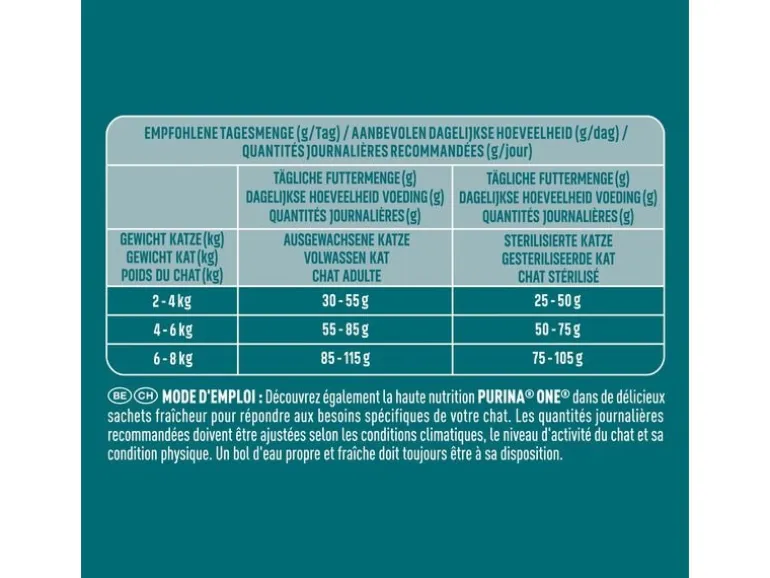 Purina ONE Dry Cat Smn High Protein, Lachs