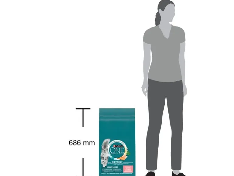 Purina ONE Trockenfutter Adult Lachs und Vollkorn 9.75 kg