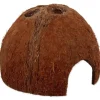 Repti Planet Coco Schale S