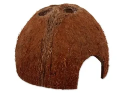 Repti Planet Coco Schale S