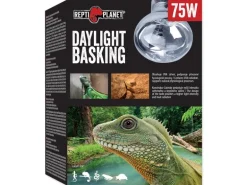 Repti Planet Daylight Basking Spot 75 W