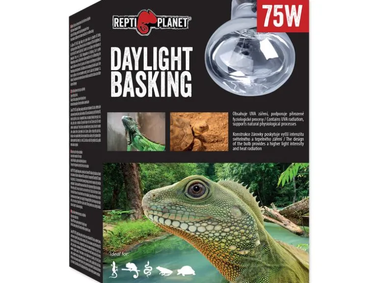 Repti Planet Daylight Basking Spot 75 W