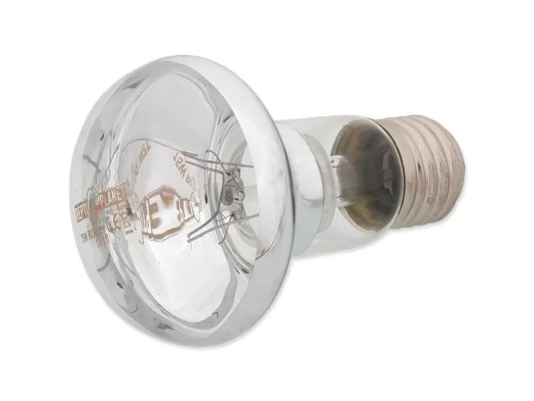 Repti Planet Daylight Basking Spot 75 W