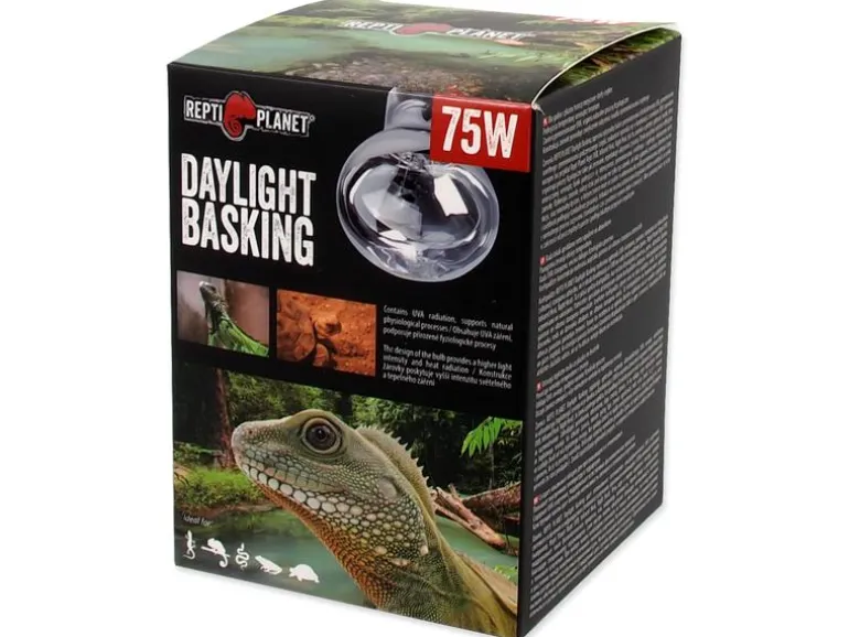 Repti Planet Daylight Basking Spot 75 W
