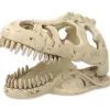 Repti Planet Dekoschädel T-Rex