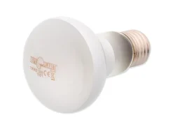 Repti Planet Terrarienlampe Daylight Frosted 75 W