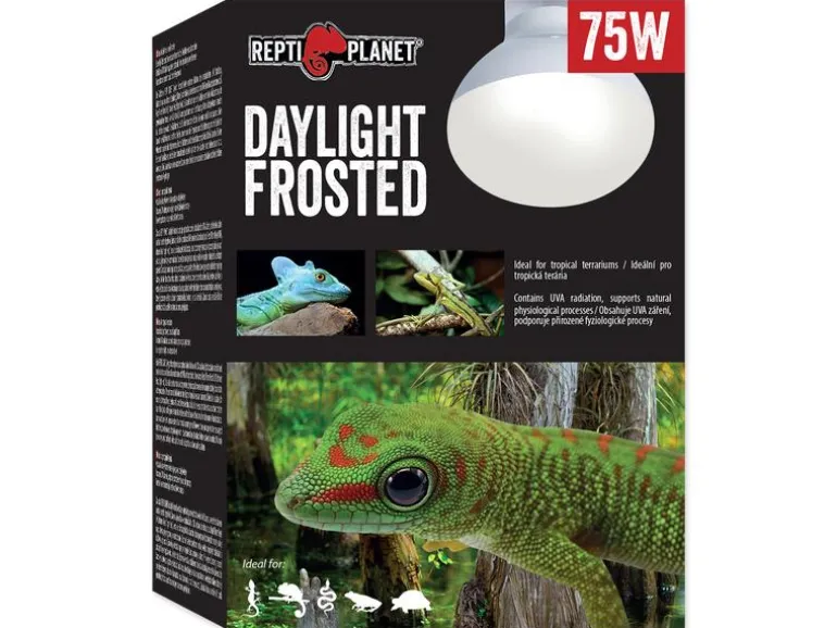 Repti Planet Terrarienlampe Daylight Frosted 75 W