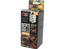 Repti Planet Terrarienlampe Sparlampe 5.0 13 W