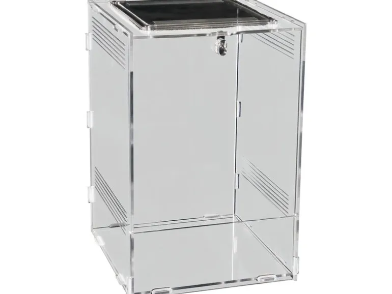 Repto Terrarium Plexi, 20 x 19 x 29 cm