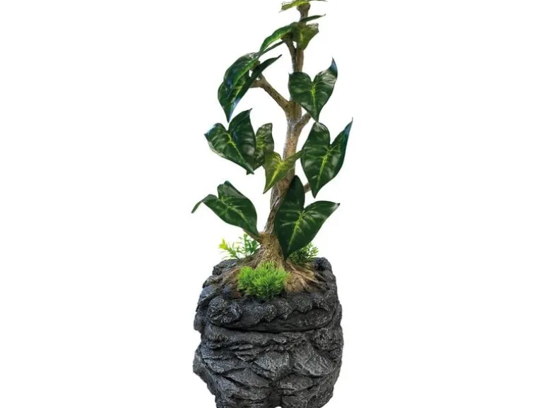Repto tropfender Baum