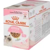 Royal Canin Nassfutter Kitten in Sosse, 12 x 85 g