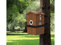 Sanilu Vogel Nistkasten mit Kamera