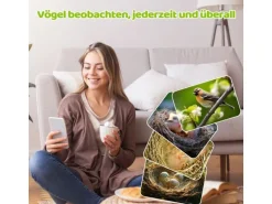 Sanilu Vogel Nistkasten mit Kamera, Solarpanel inklusive