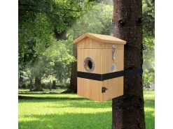 Sanilu Vogel Nistkasten mit Kamera, Solarpanel inklusive