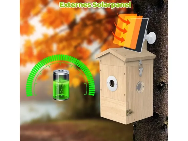 Sanilu Vogel Nistkasten mit Kamera, Solarpanel inklusive