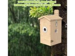 Sanilu Vogel Nistkasten mit Kamera, Solarpanel inklusive