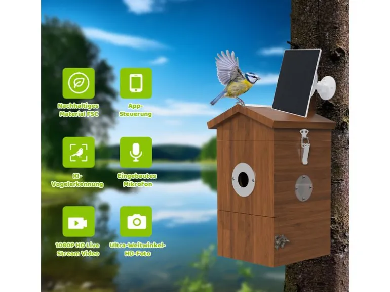 Sanilu Vogel Nistkasten mit Kamera und Solarpanel
