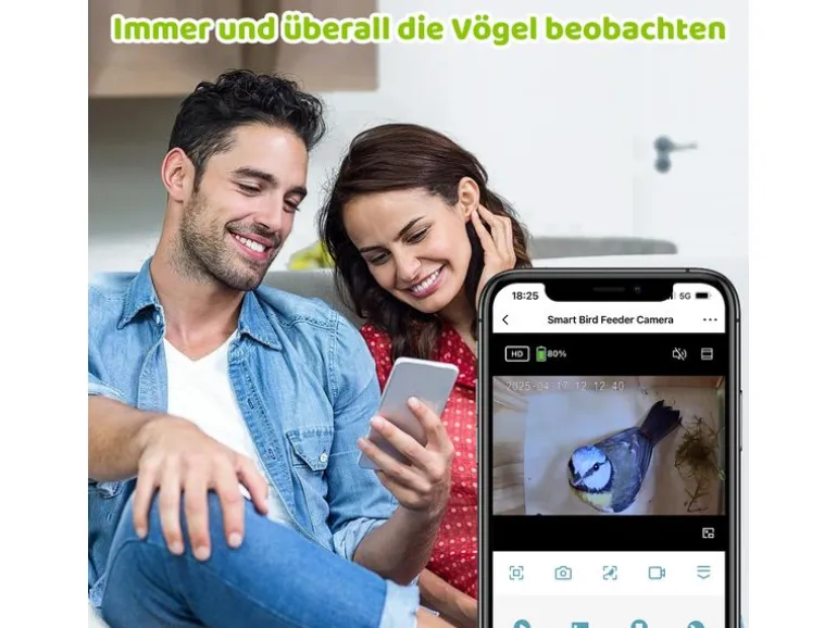 Sanilu Vogel Nistkasten mit Kamera und Solarpanel