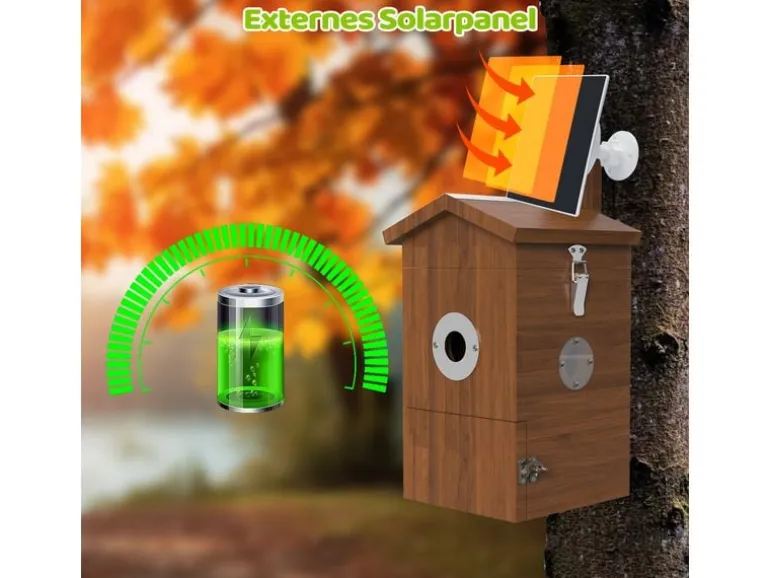 Sanilu Vogel Nistkasten mit Kamera und Solarpanel