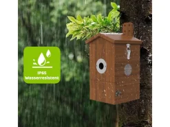 Sanilu Vogel Nistkasten mit Kamera und Solarpanel