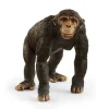 Schleich Spielzeugfigur Wild Life Schimpanse