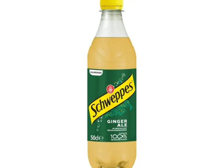 Schweppes Soft-Drinks Ginger Ale 6 x 0.5 l