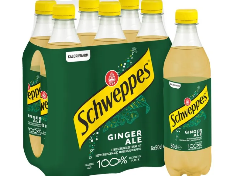 Schweppes Soft-Drinks Ginger Ale 6 x 0.5 l