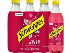 Schweppes Soft-Drinks Wild Berry 6 x 0.5 l
