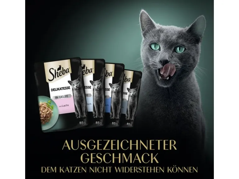 Sheba Nassfutter Delikatesse Gelee Fisch Variation, 60 x 85g