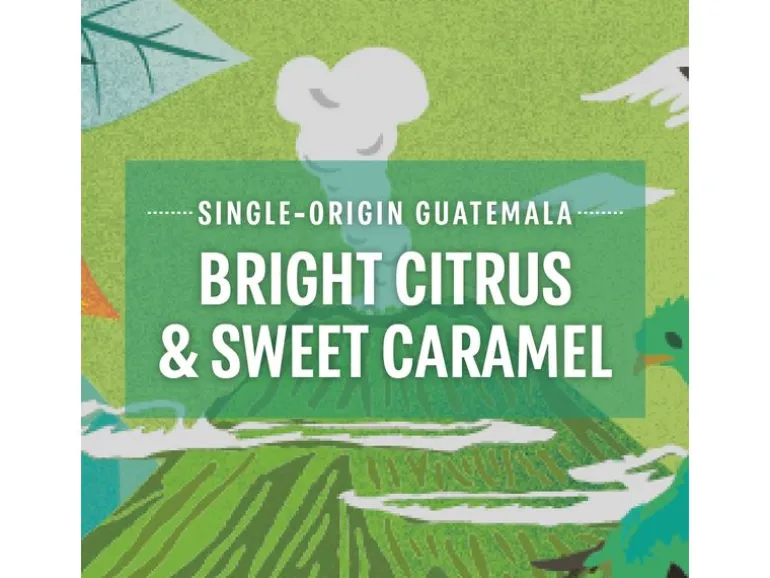Starbucks Kaffeekapseln Guatemala 10 Stück