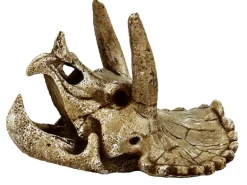 SuperFish Dekoration Schädel Triceratops M