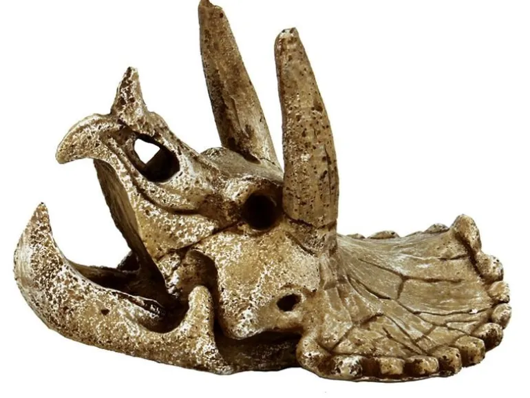 SuperFish Dekoration Schädel Triceratops M