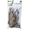 SuperFish Dekoration Spiderwood Zweige