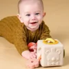 TAF-TOYS Aktivitätenwürfel Peek & Play, 6M+