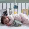 TAF-TOYS Geschenkset Hello Baby 0M+