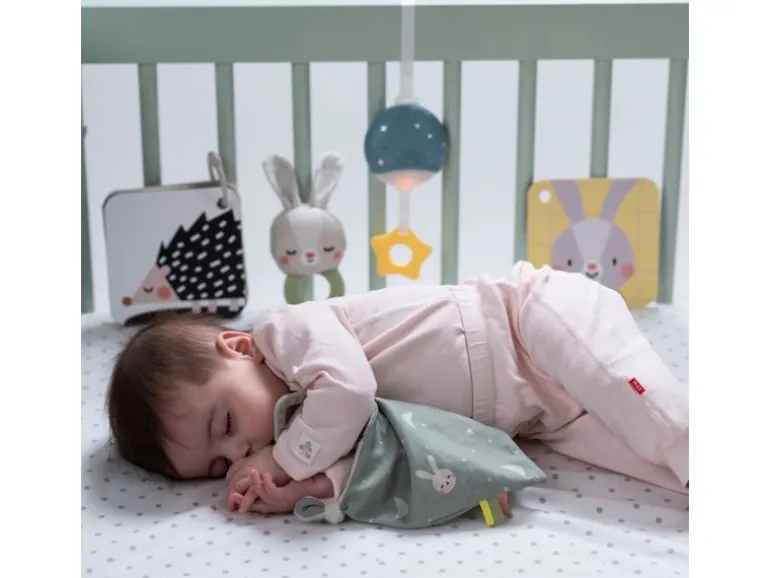 TAF-TOYS Geschenkset Hello Baby 0M+