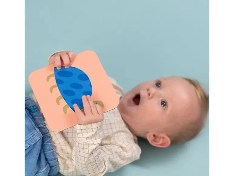 TAF-TOYS Meine ersten Spielkarten 0M+