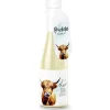 Trendcompany Geschenkidee Schaumwein Besonderes Hochlandrind 0.2 L