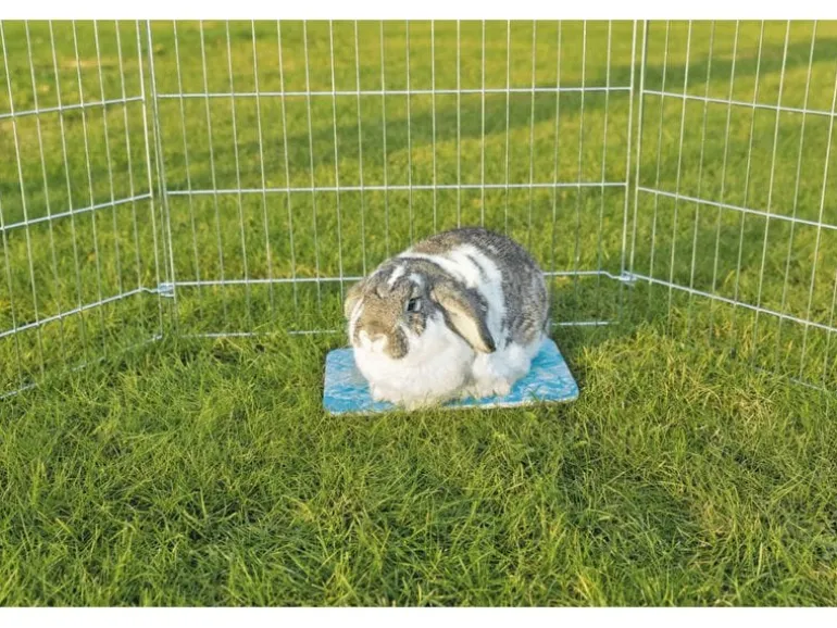 Trixie Kühlplatte für Hamster, 20 x 15 cm