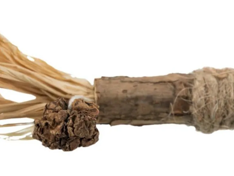 Trixie Matatabi-Stick mit Fransen