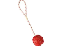 Trixie Schwimmspielzeug Aqua Toy Ball am Seil, ø 7 x 35 cm, Rot
