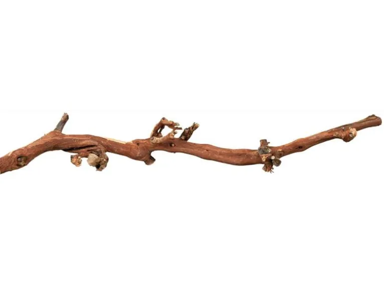Trixie Weinrebenwurzel L wassergestrahlt, 40 - 60 cm