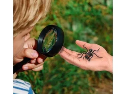 Twiddlers Spielzeugfigur Insekten, 50 Stück